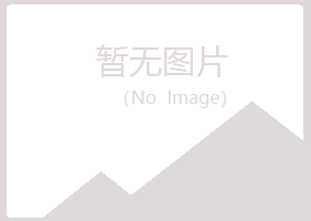 黄山徽州雪青化学有限公司